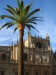 španělsko-(chrám)a palma.jpg